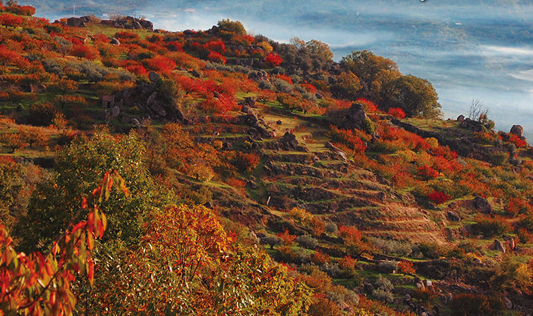 Otoñada del Valle del Jerte 