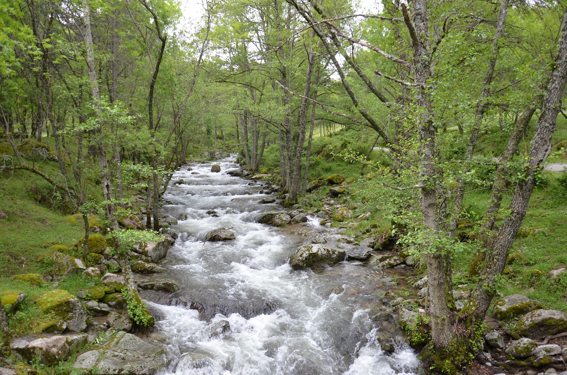 Valle-de-Iruelas