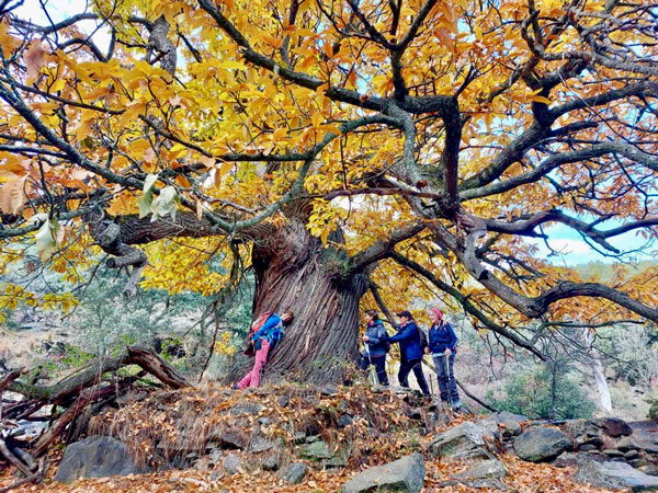 Festival de Ecoturismo de Sierra Nevada, rutas 