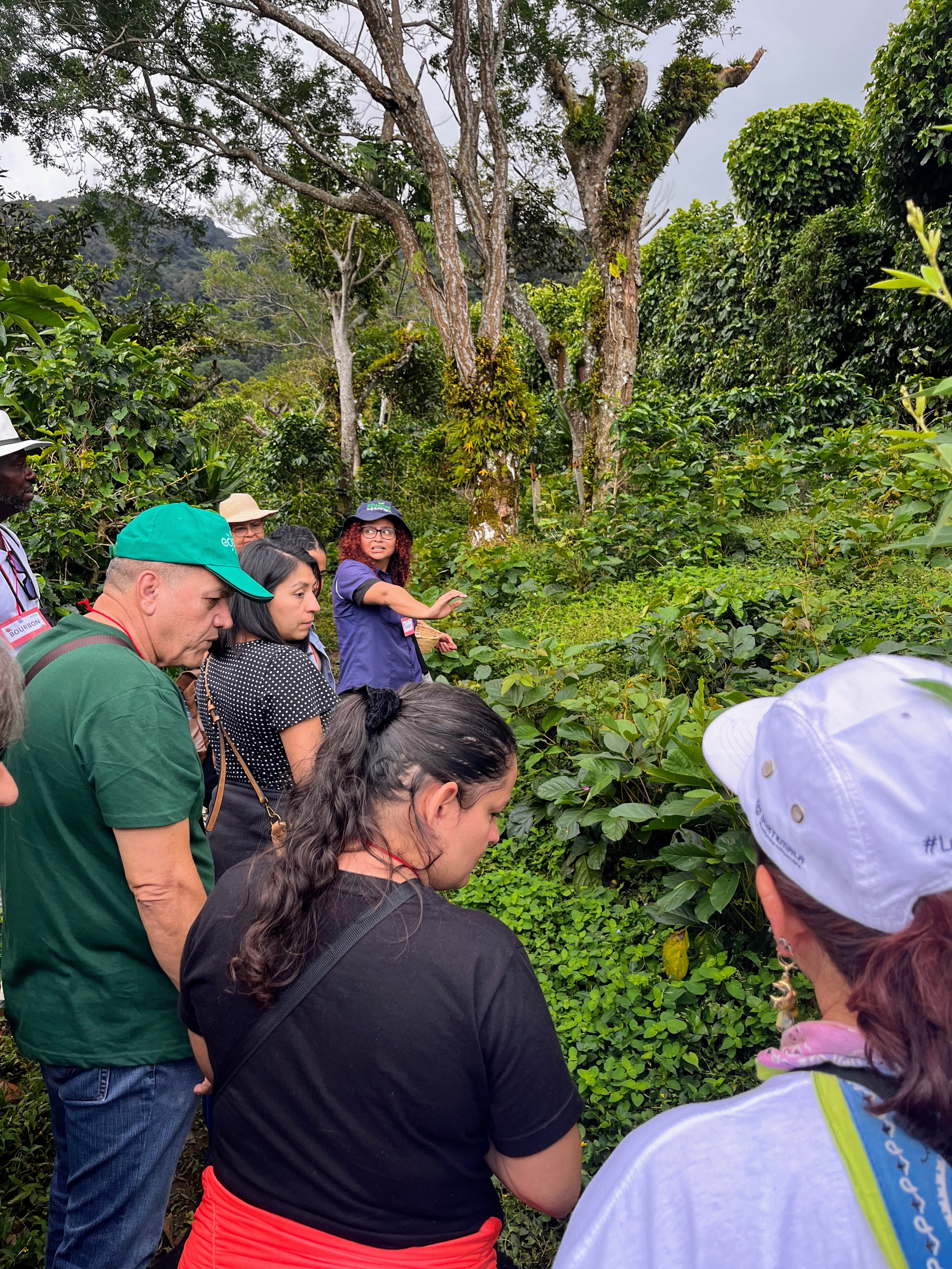 actividades turismo rural el salvador