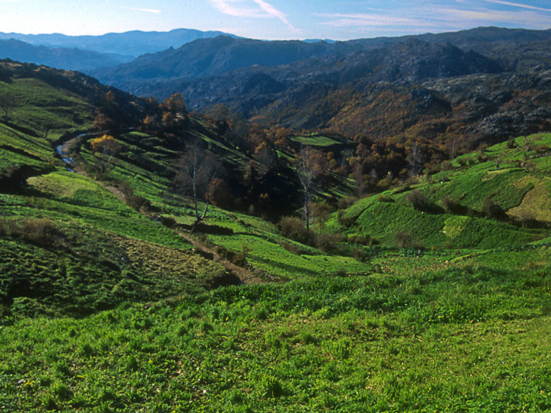 Reserva de la Biosfera Transfronteriza Gerês Xurés