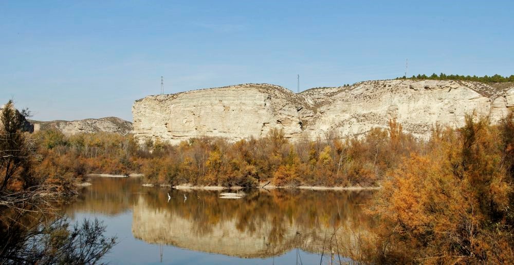  Galacho de Juslibol, zaragoza