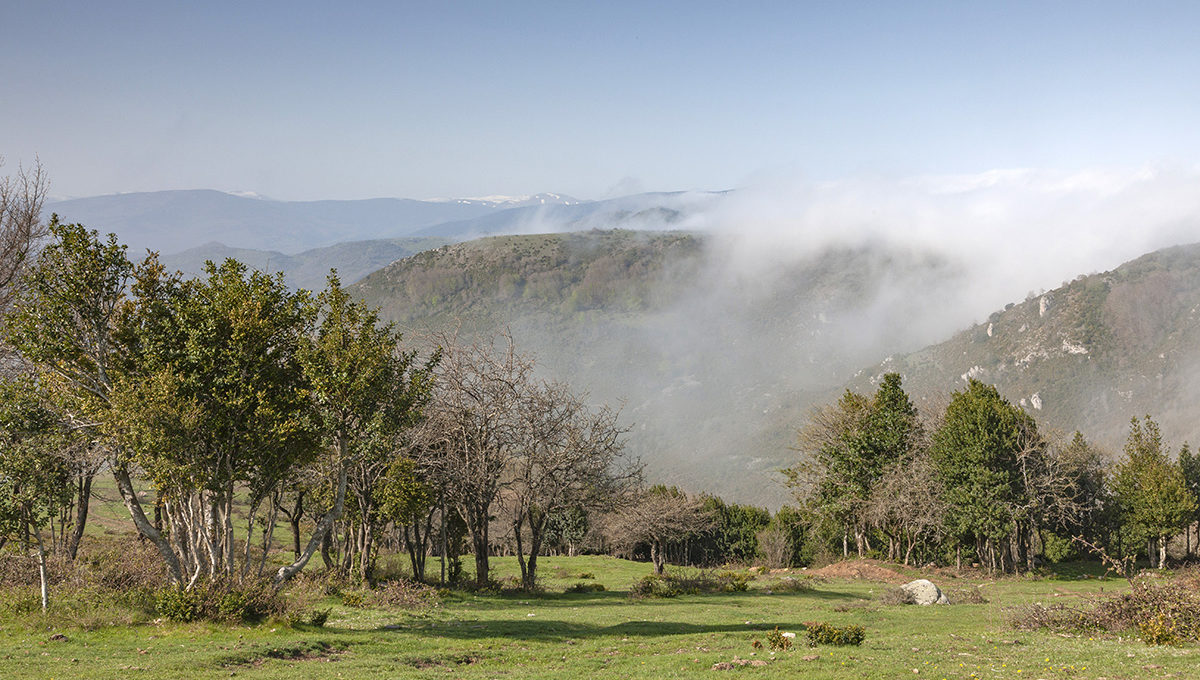 Serradero , la rioja