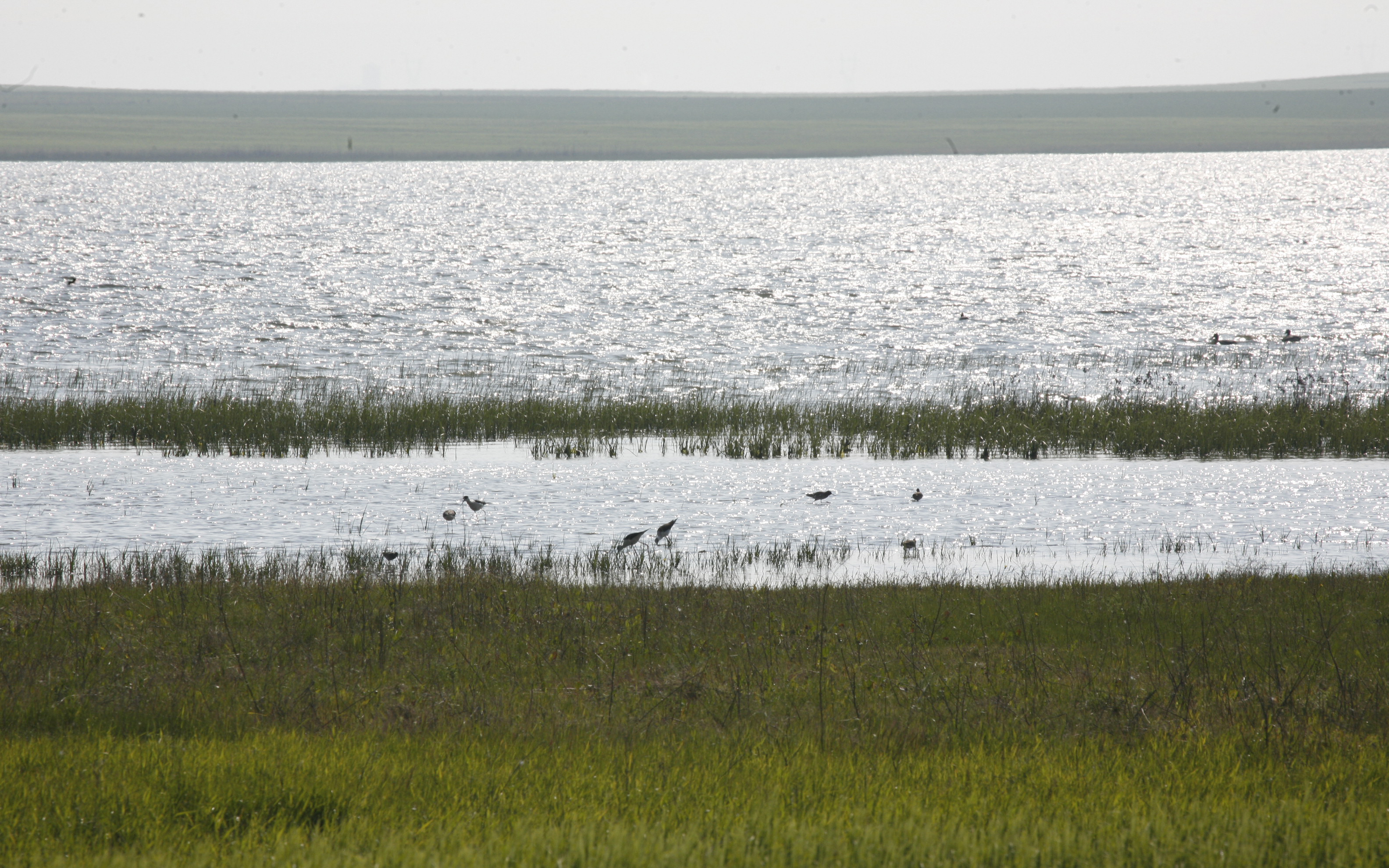 Laguna de Boada, Palencia 