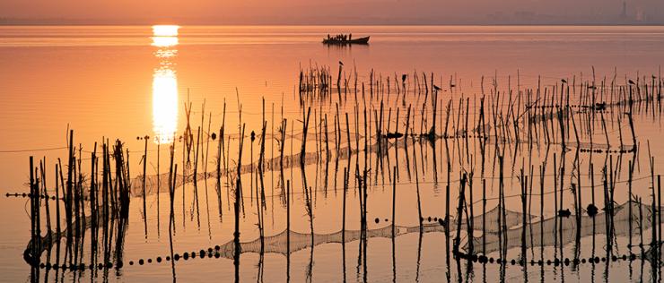 Albufera de Valencia, España