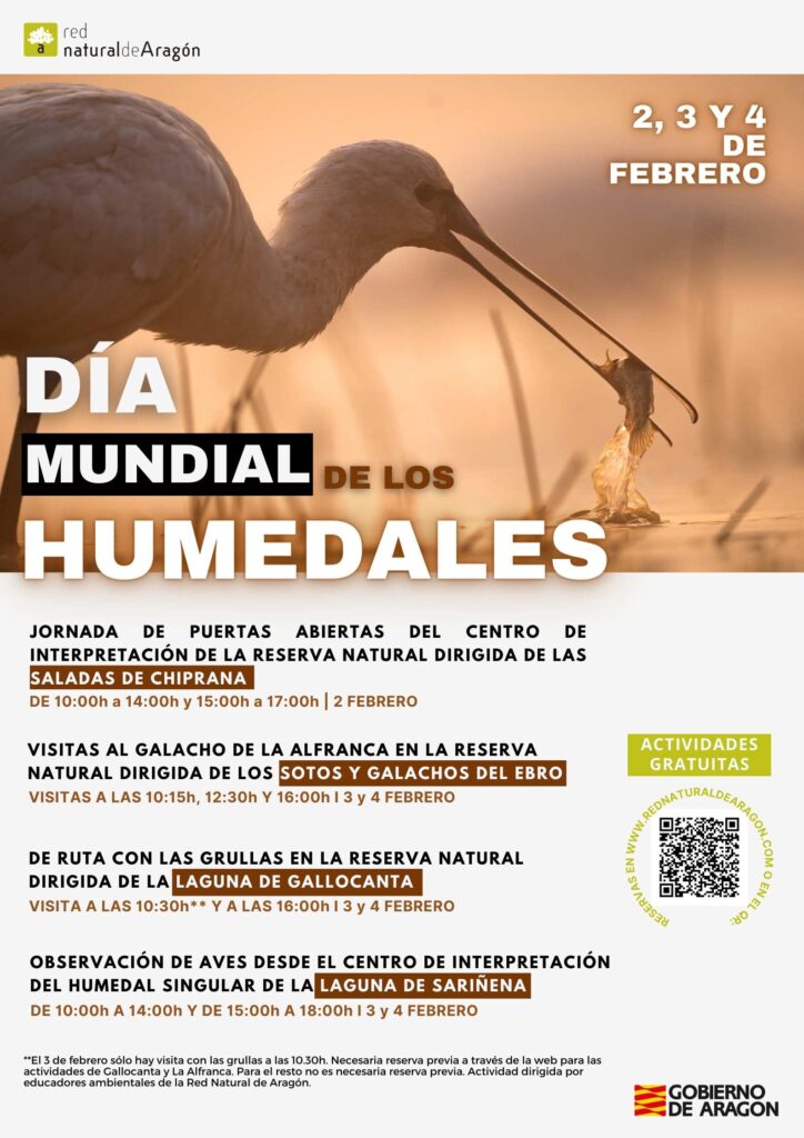 Actividades humedales aragón 