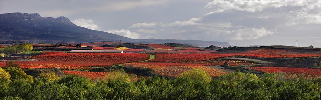 Haro, La Rioja 