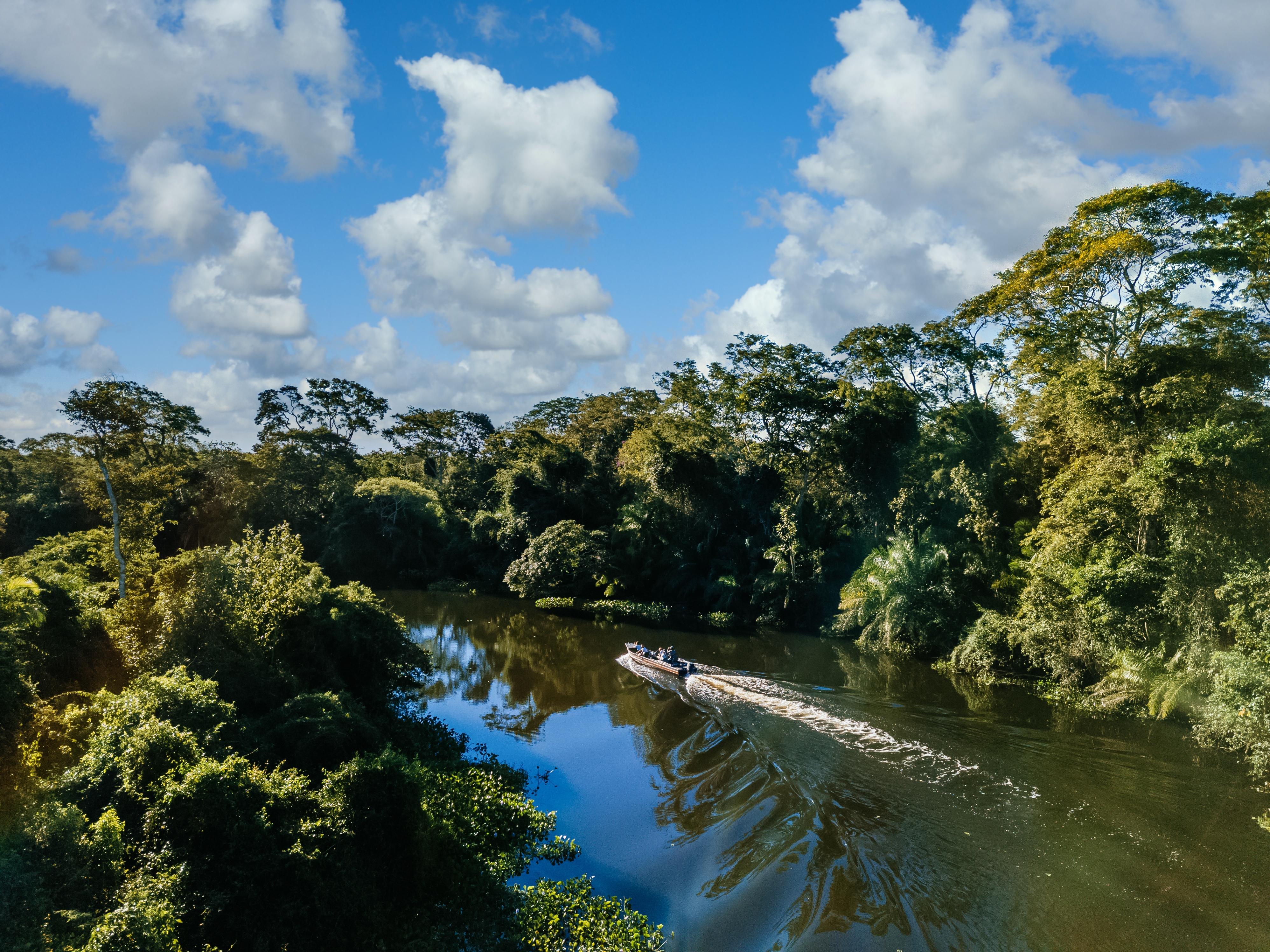 Selva amazonas