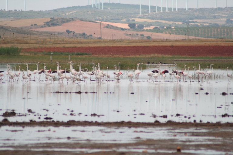 Monte Ibérico-Corredor de Almansa