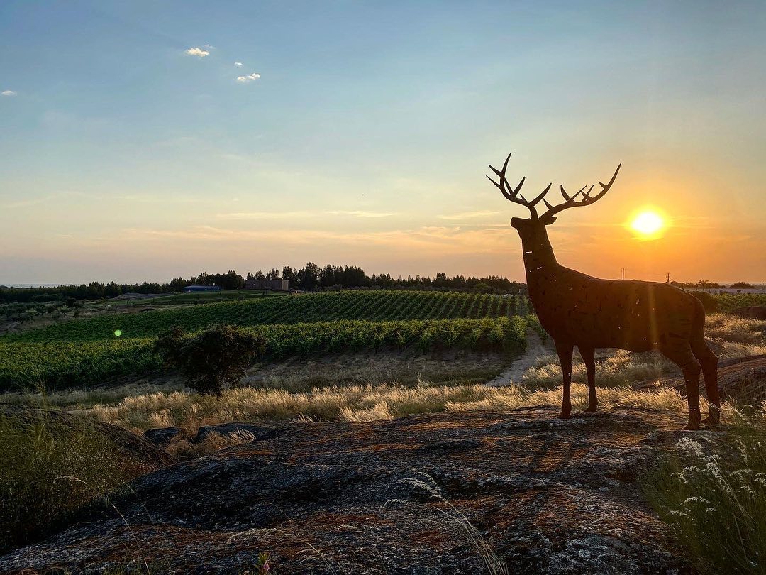 Heredade da Rocha Alentejo