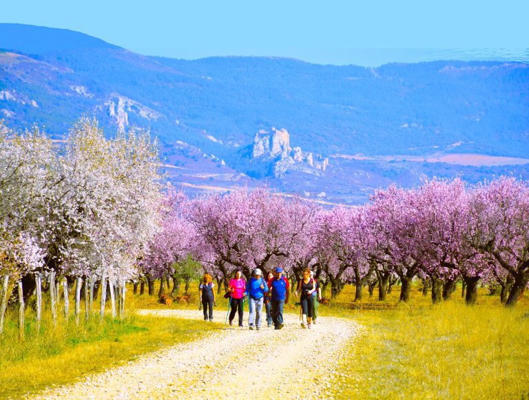 Almentros huesca ayerbe