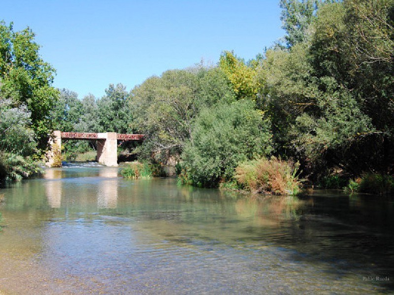 El Carrasco, Mancha Júcar 