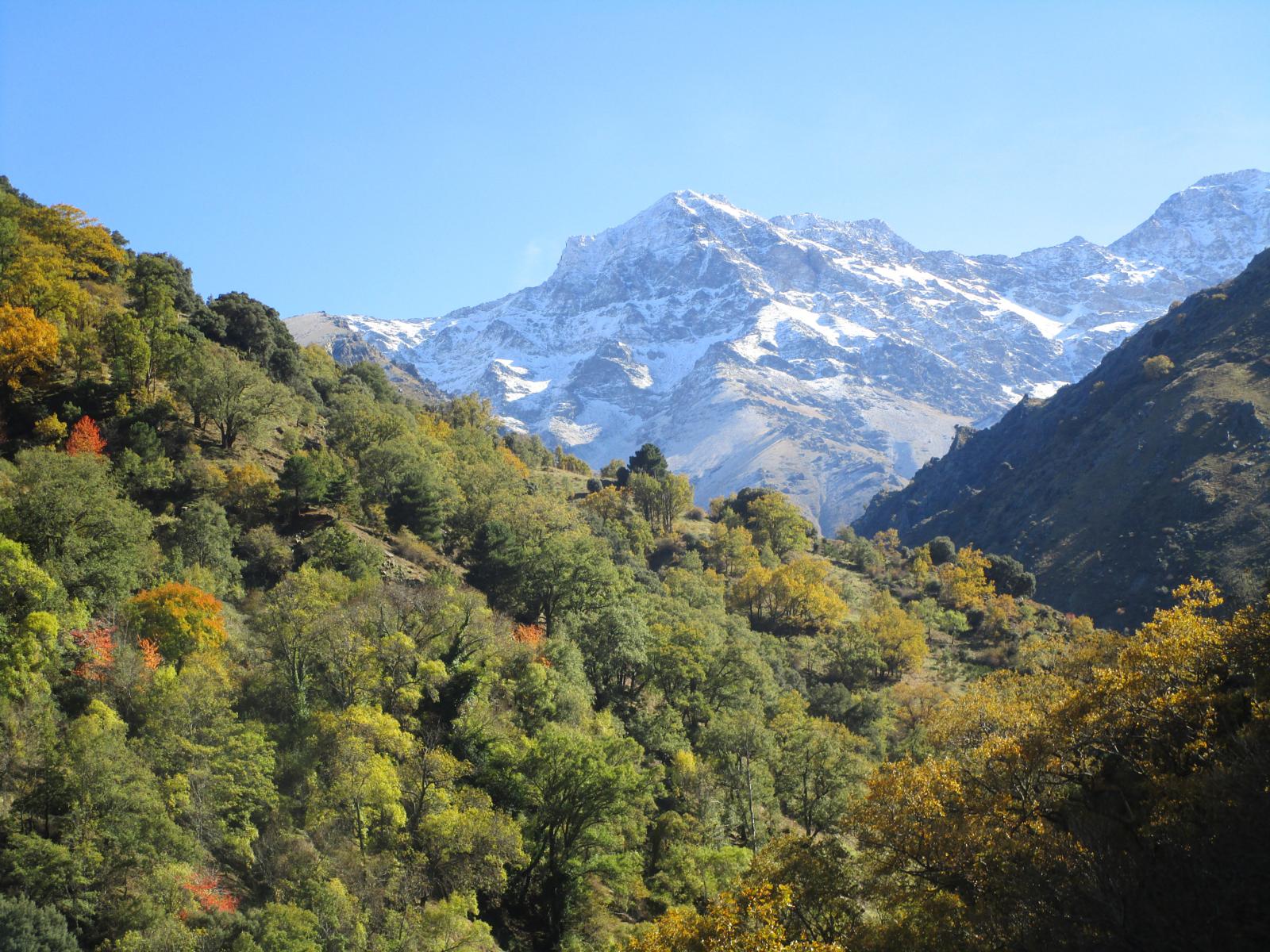 Vereda de la Estrella