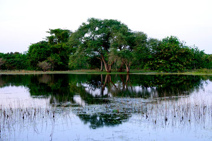 Parque Nacional Orango