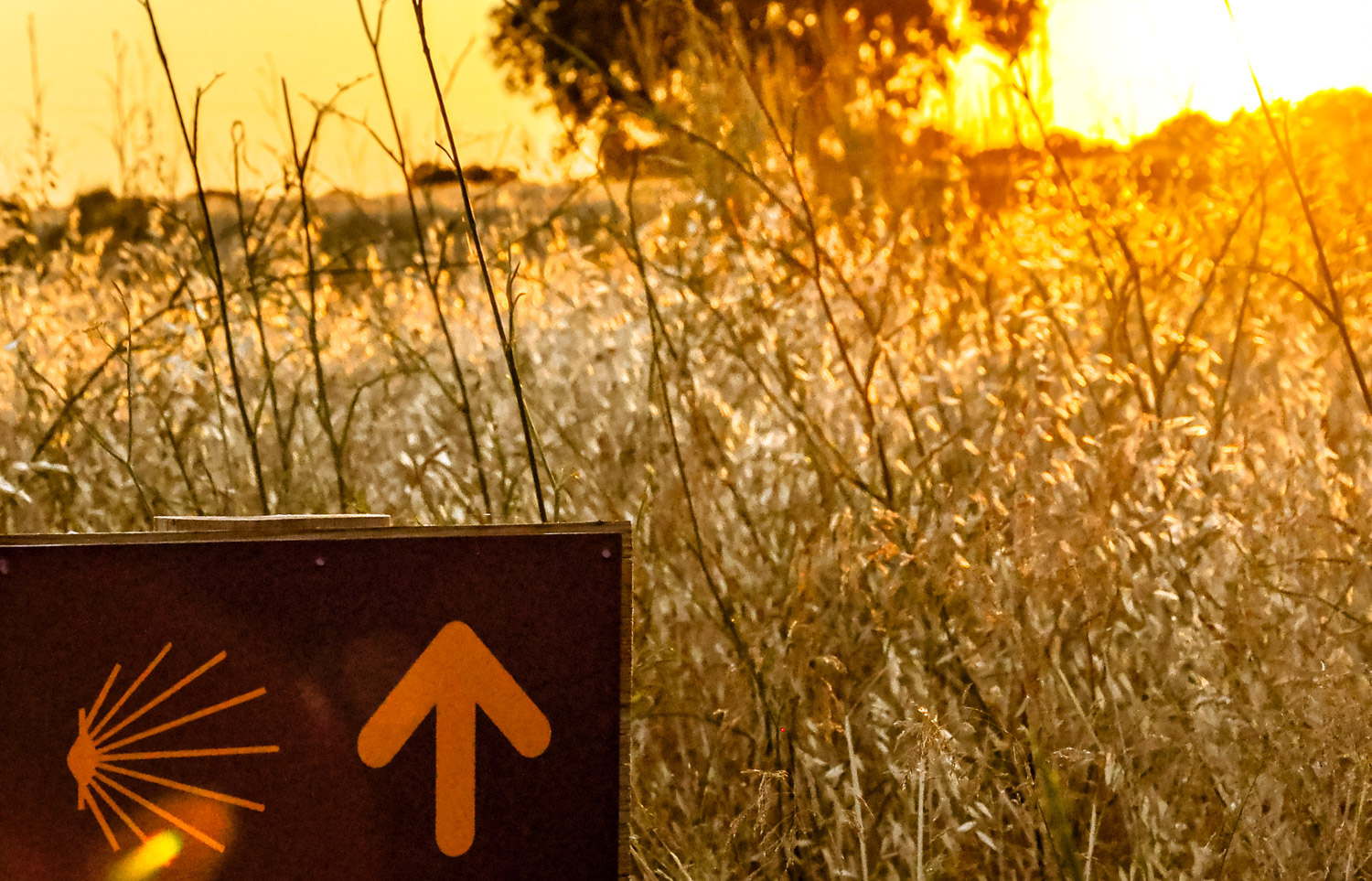 Símbolo del camino a su paso por Extremadura