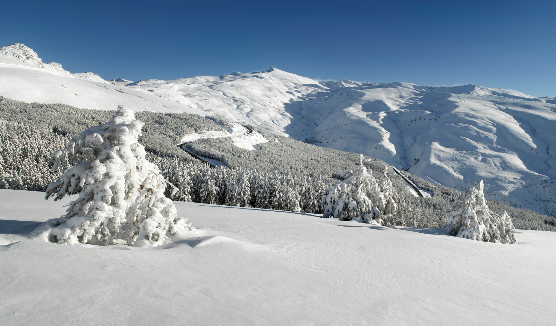 Sierra Nevada