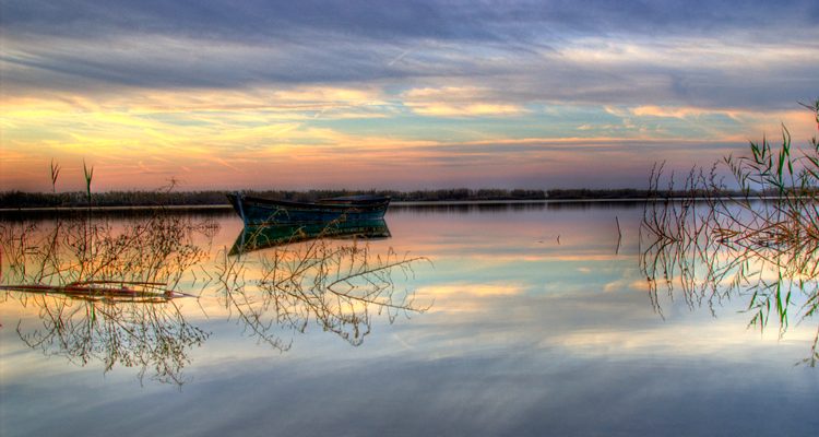  l´Albufera