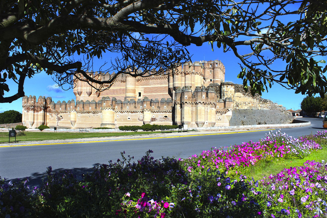 Castillo de Coca