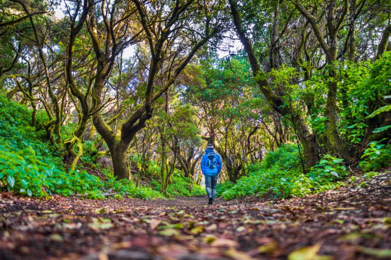 Practicar ecoturismo reduce la huella de carbono 