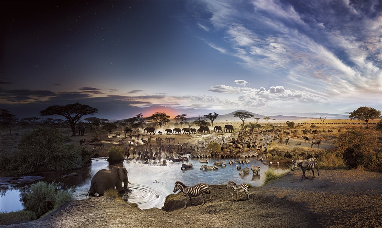 Parque Nacional del Serengeti (Tanzania) 