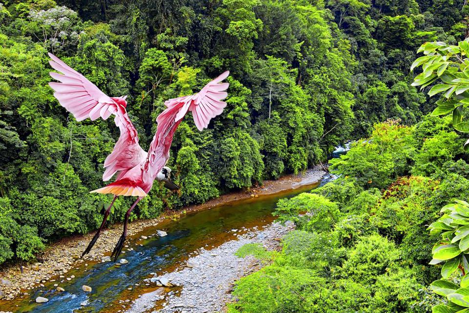 Portada Costa Rica, cuna del ecoturismo