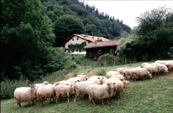 Agroturismo Arruan Haundi