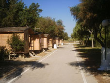 Camping La Rana Verde