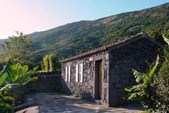 Adegas do Pico