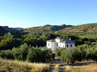 Casa Olea
