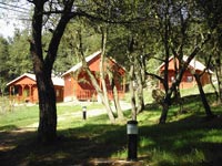 Camping Cabañas de Madera El Solei
