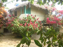 Hosteria Ecológica "Mar y Paz"