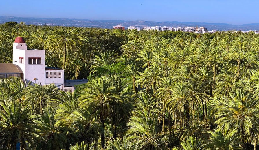 Palmeral de Elche // Credito: valencia.bonita Palmeral de Elche // Credito: valencia.bonita