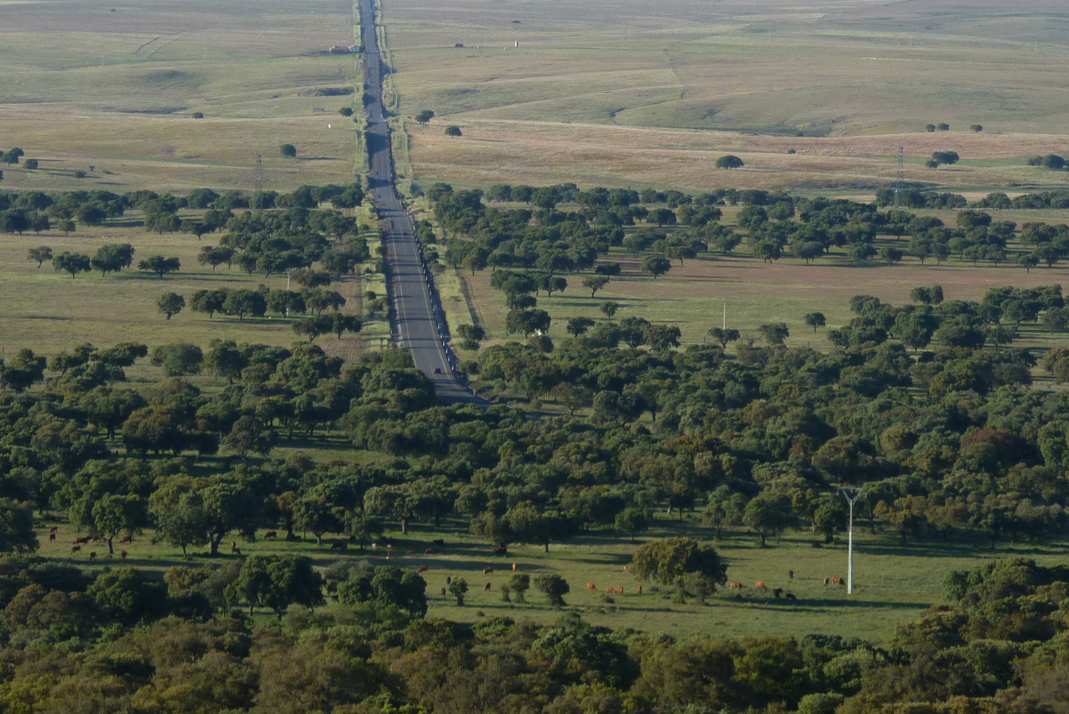 Valle de Alcudia // Crédito: wikipedia  Valle de Alcudia // Crédito: wikipedia