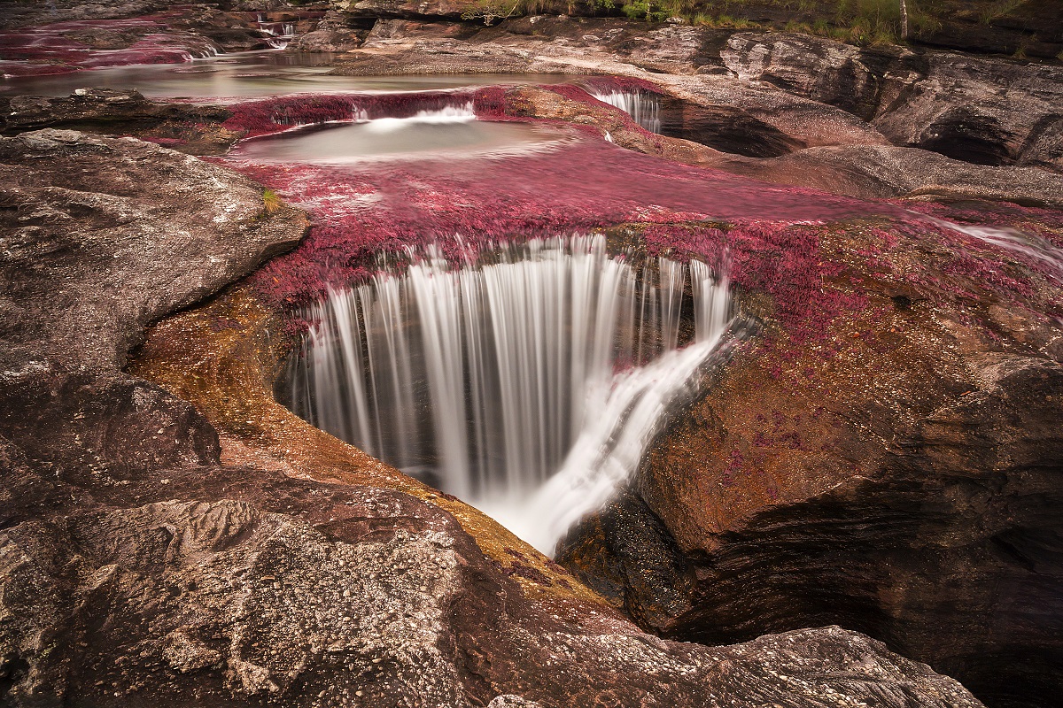 Caño Cristales en La Macarena, Colombia // Crédito: laderasur.com Caño Cristales en La Macarena, Colombia // Crédito: laderasur.com