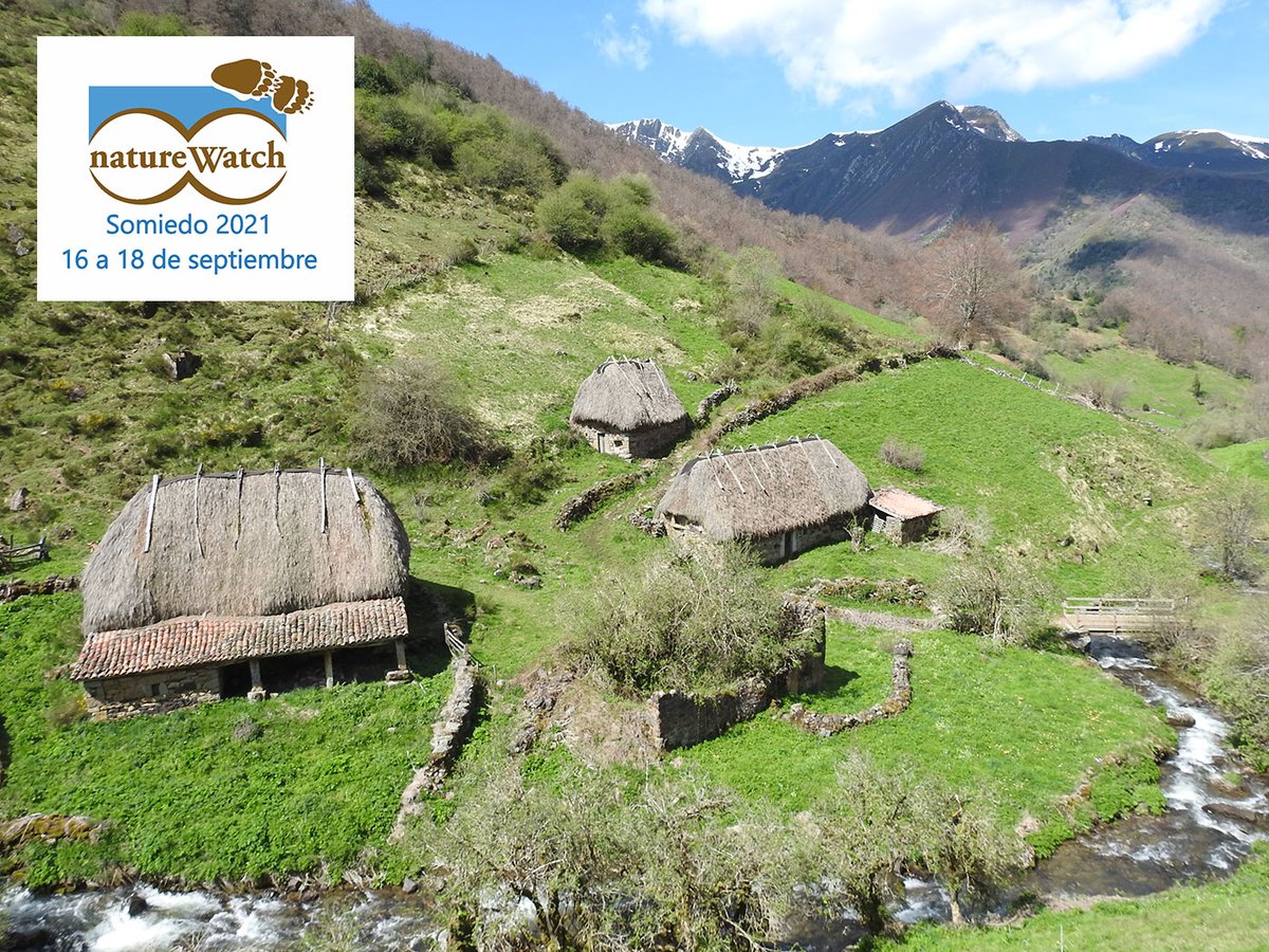 NatureWatch Somiedo // Crédito: twitter  NatureWatch Somiedo // Crédito: twitter