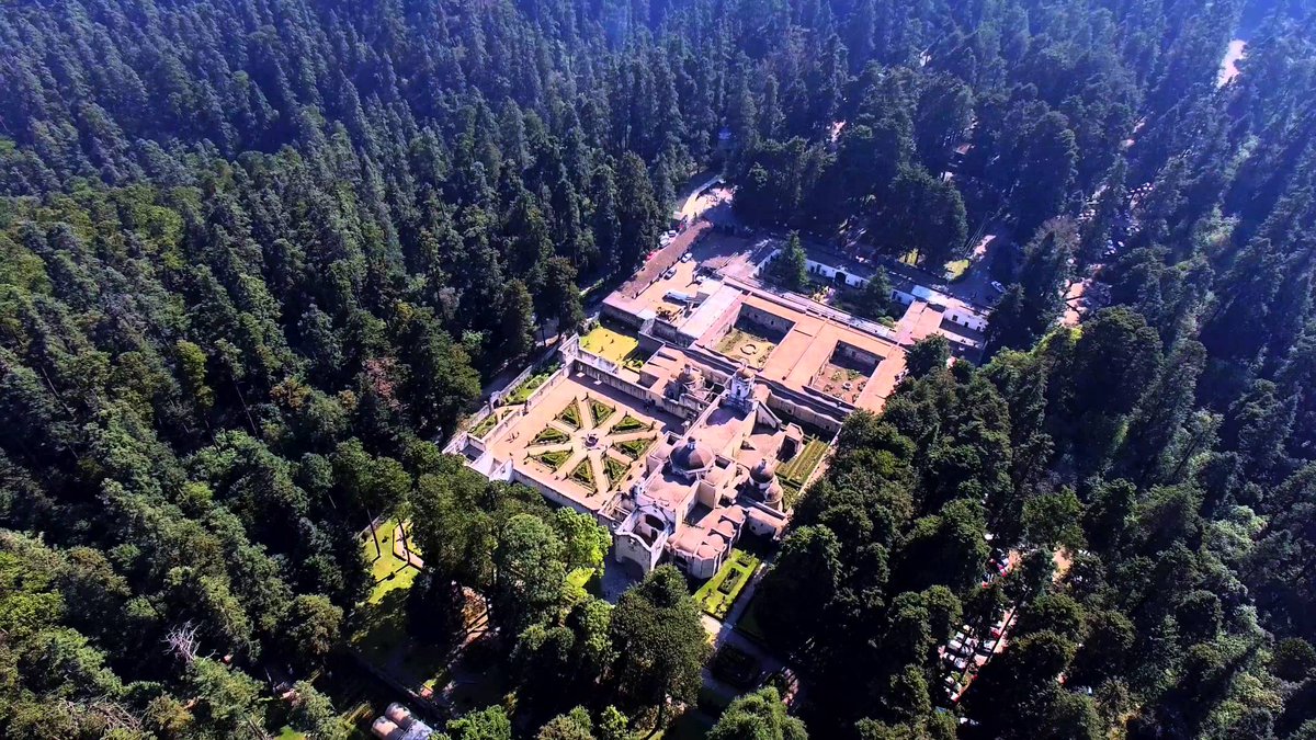 Desierto de los Leones, México // Crédito: twitter Desierto de los Leones, México // Crédito: twitter