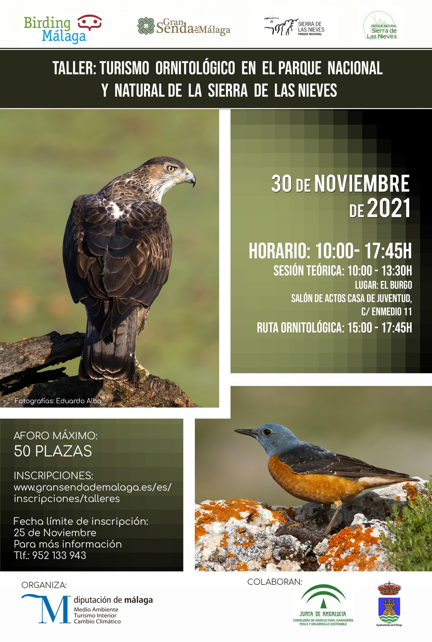 Cartel Taller sobre turismo ornitológico en la Sierra de las Nieves  Cartel Taller sobre turismo ornitológico en la Sierra de las Nieves