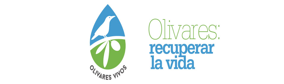 Logo LIFE Olivares Vivos+ // Crédito: olivaresvivos Logo LIFE Olivares Vivos+ // Crédito: olivaresvivos