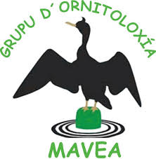 Grupo  de Ornitología Mavea // Crédito: facebook