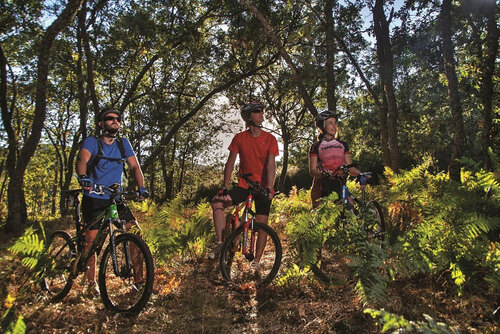 Ruta en bicicleta por Extremadura / CrÃ©dito: Regiondigital.com