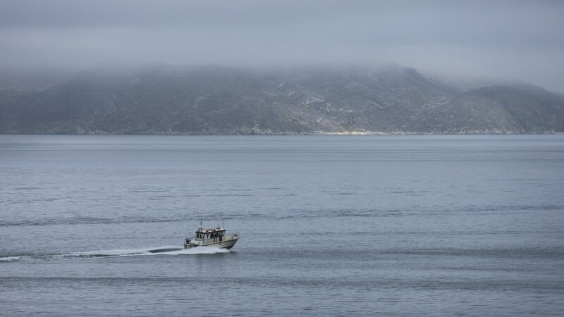 avistamiento cetÃ¡ceos Groenlandia
