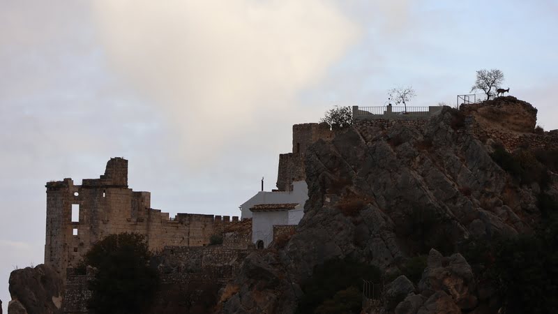 cabra montÃ©s junto castillo zuheros