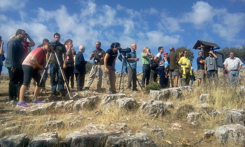 Avistamiento de aves-birdwatching Cazorla