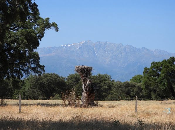 La campana de Oropesa