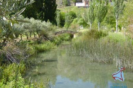 Nacimiento de Cuevas del Becerro.