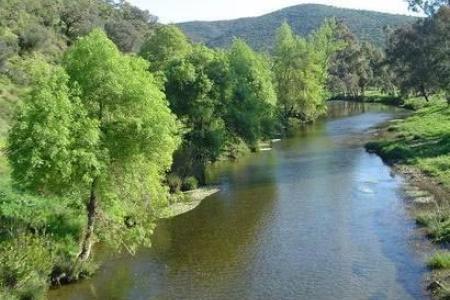 Río Murtigas en Encinasola.