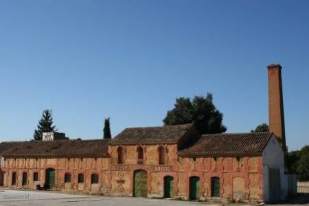 Fábrica de Aceite y de Orujo.