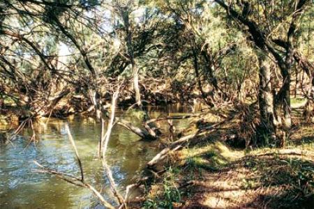 La Valcuerna en Peñalba.