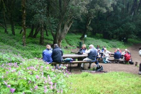 El Jardín de Creces en La Gomera.