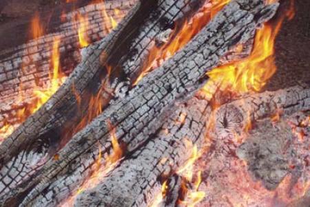 Fiestas de San Sebastian.